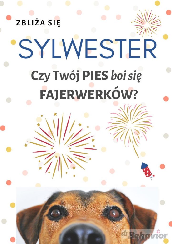 Sylwester