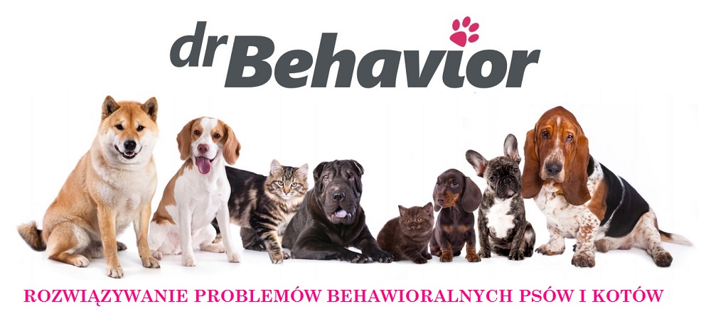 Dr Behavior – rozwiązywanie problemów behawioralnych psów i kotów